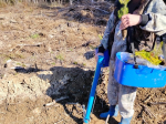 18.04.2025 | Старицкий муниципальный округ присоединился к акции "Сад памяти"