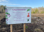 18.04.2025 | Старицкий муниципальный округ присоединился к акции "Сад памяти"