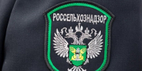 За неделю тверским Россельхознадзором выдано более 200 фитосанитарных сертификатов - Афанасий-биржа