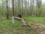 28.04.2025 | Тверичи приняли участие в мероприятиях в рамках всероссийской недели субботников «Мы за чистоту», приуроченной к Году защитника Отечества