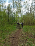 28.04.2025 | Тверичи приняли участие в мероприятиях в рамках всероссийской недели субботников «Мы за чистоту», приуроченной к Году защитника Отечества
