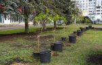 30.04.2025 | Губернатор Игорь Руденя открыл в Твери памятник герою Великой Отечественной войны Паше Савельевой
