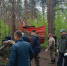 15.05.2025 | В Бобачевской роще организована уборка аварийных деревье - Министерство энергетики и ЖКХ