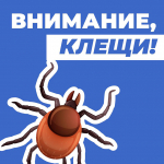 В преддверии лета тверичанам о правилах безопасности на природе, на дорогах и дома