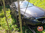 Под Андреаполем в массовом ДТП пострадали два человека