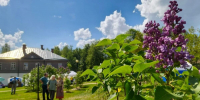«Сиреневое Домотканово» проходит в Тверской области - Афанасий-биржа