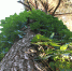 Народные приметы на 31 мая: зачем нужно подбрасывать варенные яйца - ГТРК