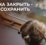 фото: СК РФ в Телеграм - ТИА