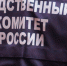 По факту нападения на паралимпийца в Твери возбуждено уголовное дело - ТИА