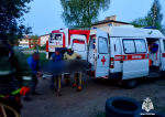 На пожаре в Андреаполе пострадал человек