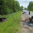 На трассе М-9 в Тверской области при столкновении двух автомобилей Киа погиб водитель - Тверские ведомости