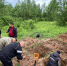 Поисковики обнаружили солдатские останки в Зубцовском округе - ГТРК