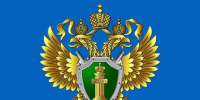 В Тверской области незаконно нарубили леса на 22 миллиона рублей - Газета Вся Тверь