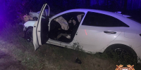 Ехали со свадьбы, встретили дерево: детали ночного ДТП в Твери рассказали в ГАИ - Афанасий-биржа