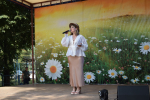 Концертная программа «Всячина»