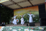 Концертная программа «Всячина»