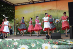 Концертная программа «Всячина»