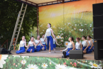 Концертная программа «Всячина»