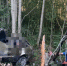 Под Тверью Daewoo врезался в дерево, одна школьница погибла и она пострадала - Комсомольская Правда