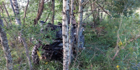 Глава СК взял на контроль дело о гибели ребенка на квадроцикле в Тверской области - ТИА