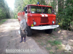 В Тверской области волонтеры и спасатели нашли и вывели из леса заплутавших грибников