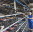 Более 15 000 тверских школьников трудоустроились на время каникул - Газета Вся Тверь