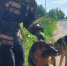 В городе Кимры сотрудники МЧС России спасли собаку, провалившуюся в коллектор - МЧС России