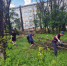 Осужденные в Твери расчистили территорию больницы - Комсомольская Правда