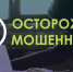 Сеть украинских телеграм-провокаторов раскрыли в Твери - Inform69.Ru