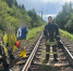 Жители Тверской области продолжают теряться в лесах - Афанасий-биржа