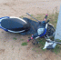 В Фировском округе скутерист на грунтовой дороге врезался в столб - Тверские ведомости