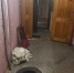 В Твери полицейские задержали трех поджигателей, которые действовали по указанию кураторов - Тверские ведомости