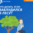 Как действовать, если заблудился в лесу! - МЧС России