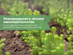 01.09.2025 | Нововведения в лесном законодательстве