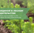 01.09.2025 | Нововведения в лесном законодательстве - Министерство лесного комплекса