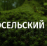 Заповедное Верхневолжье: Старосельский Мох – царство семи болот и редких хищных птиц - ТИА