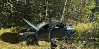 В ДТП в Кувшиновском округе пострадали пятеро детей - Афанасий-биржа