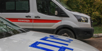 В Андреаполе тракторист наехал на девочку-подростка - Афанасий-биржа