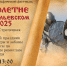 Молодежный фестиваль «Новолетие» в 16-й раз пройдет под Тверью - Комсомольская Правда