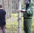 На территории Краснохолмского лесничества Тверской области заложены постоянные пункты наблюдения в количестве 5 штук - Рослесозащита Тверской области