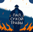 Пал сухой травы - МЧС России