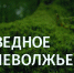 Заповедное Верхневолжье: история Малобесковского и Крестовского дубов-великанов - ТИА