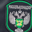 Власти Конаковского округа изменили тактику борьбы с борщевиком - Комсомольская Правда