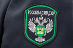 Власти Конаковского округа изменили тактику борьбы с борщевиком