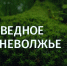 Заповедное Верхневолжье: Урочище Маслова Гора – завершающая точка нашего путешествия - ТИА