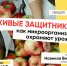 Как вырастить впечатляющий урожай? Тверской «Умный фермер» расскажет - Газета Вся Тверь