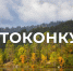 Фотографам Тверской области предлагают представить самые красивые водные объекты Верхневолжья на всероссийском конкурсе - Сетевое издание Все о Твери