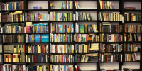 В Твери открылся книжный фестиваль «Тверской переплёт»-2025 - Афанасий-биржа