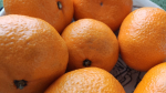 Врачи назвали продукты для очищения кишечника и снижения опасного холестерина