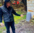 Алабай покусал мужчину в СНТ под Тверью - Афанасий-биржа